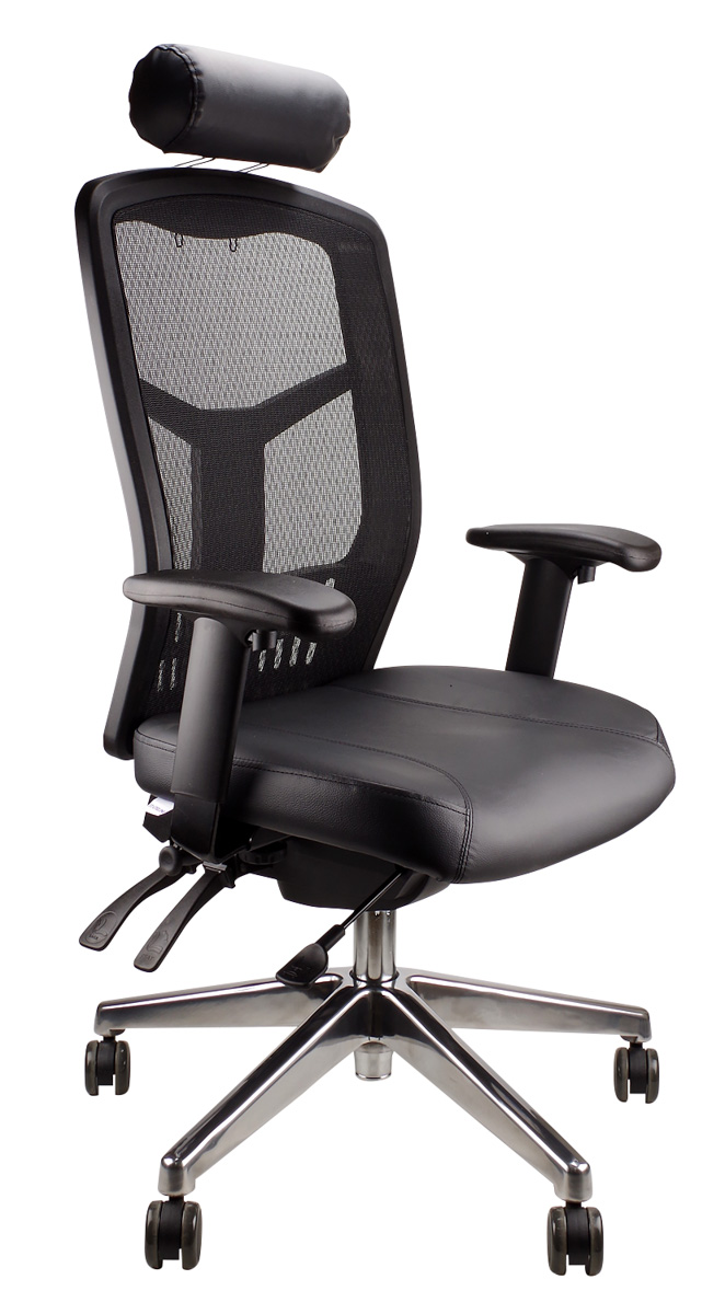 STATELINE MESH DELUXE PRO Q Office Furniture